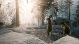 Winter Survival Screenshot 5